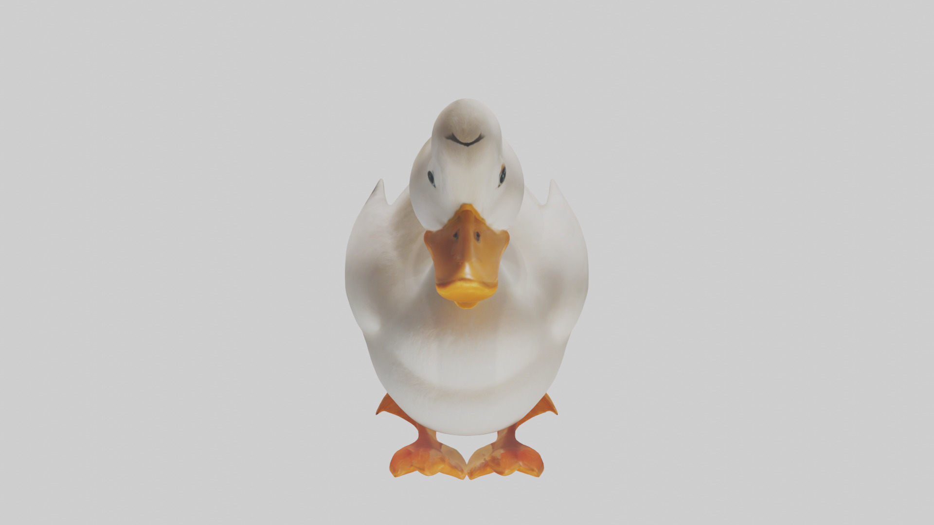 Duck waddling model 3D model_16