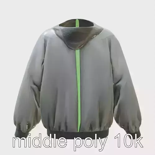 Sporty Windbreaker with Bright Accents 3D Model