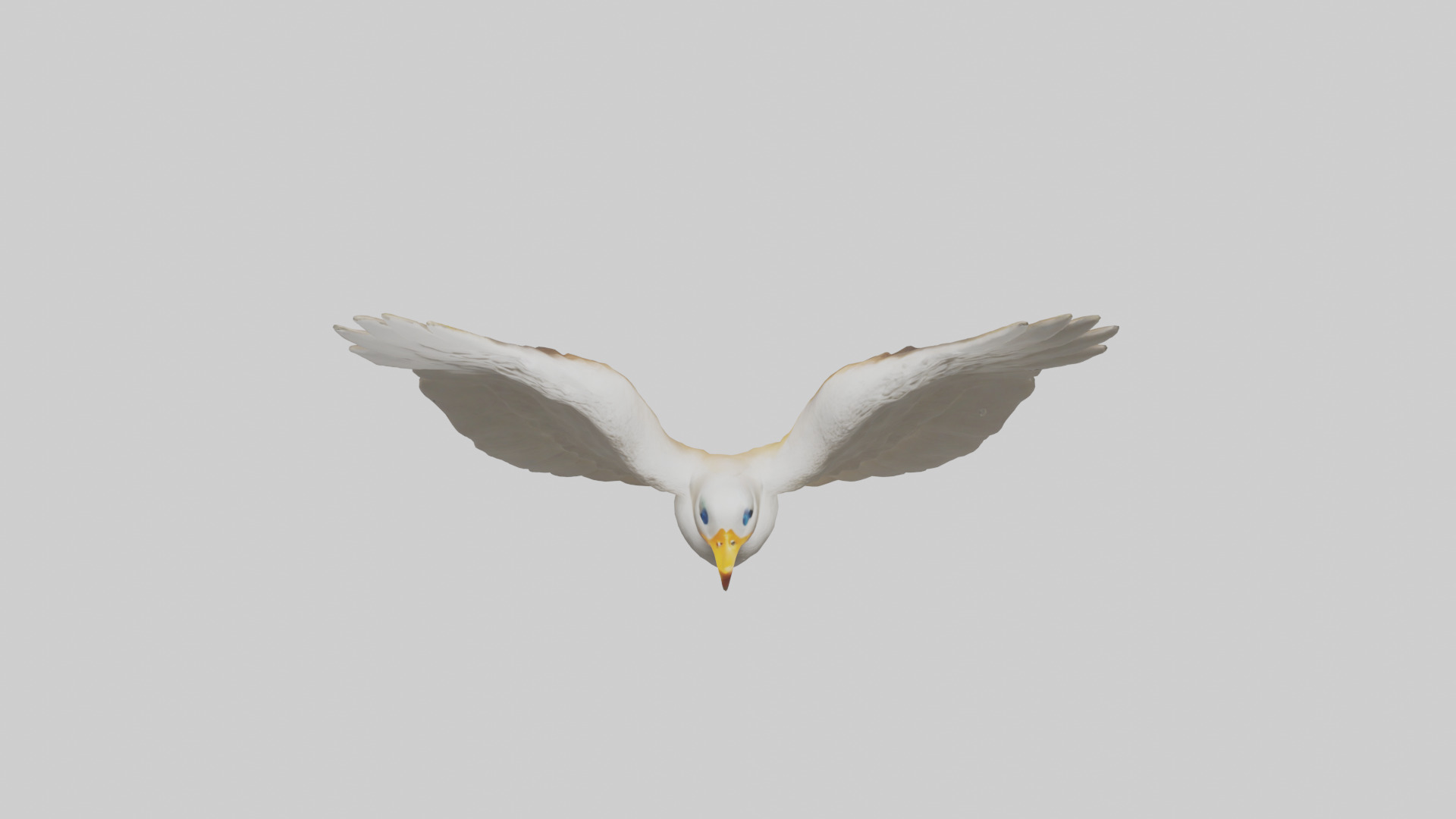 Duck Wings Model 3D model_16