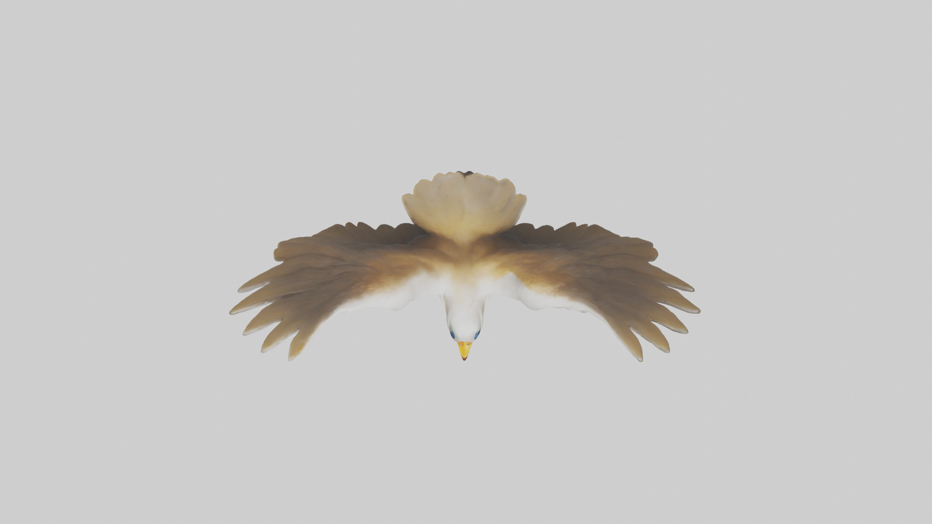 Duck Wings Model 3D model_14