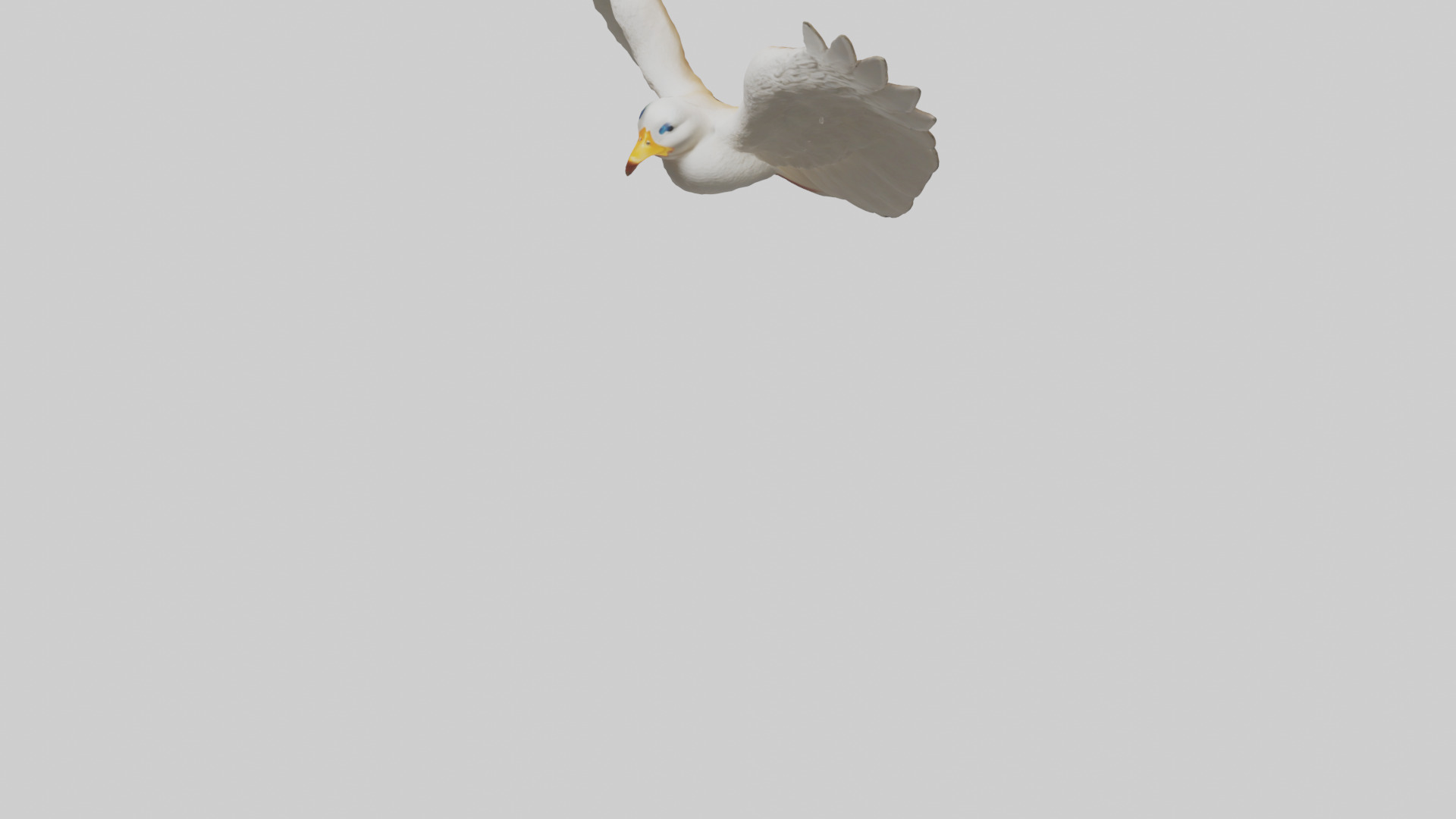 Duck Wings Model 3D model_7