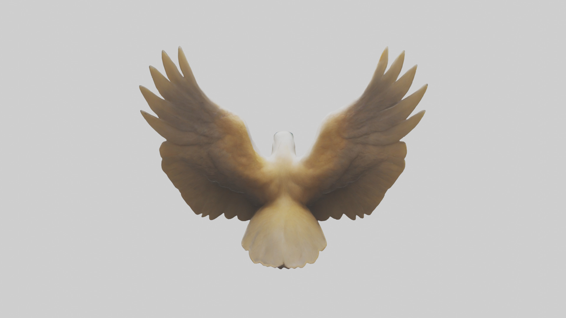 Duck Wings Model 3D model_15