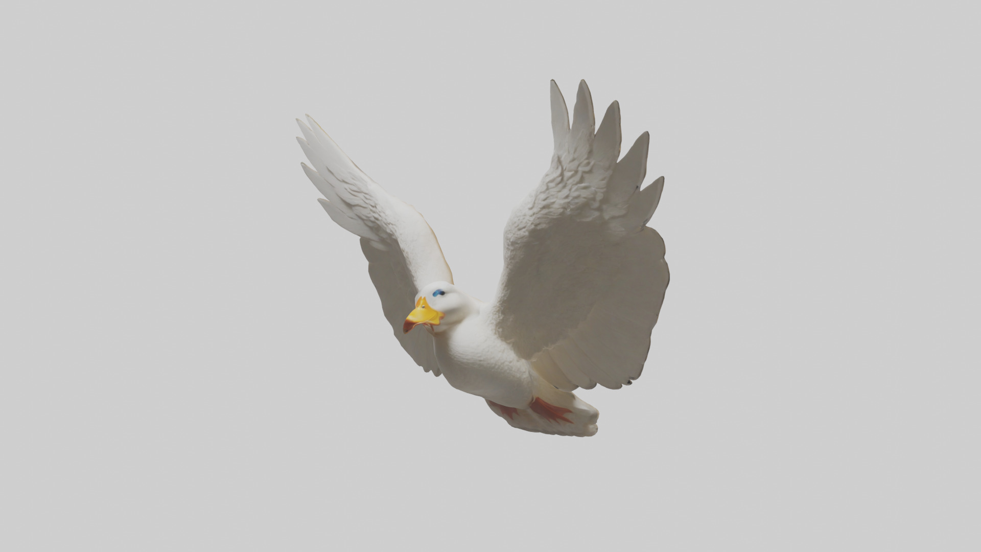 Duck Wings Model 3D model_1