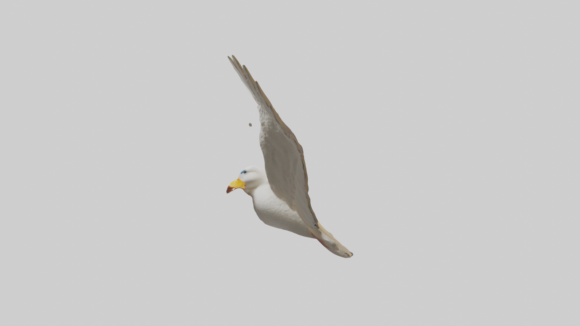 Duck Wings Model 3D model_12