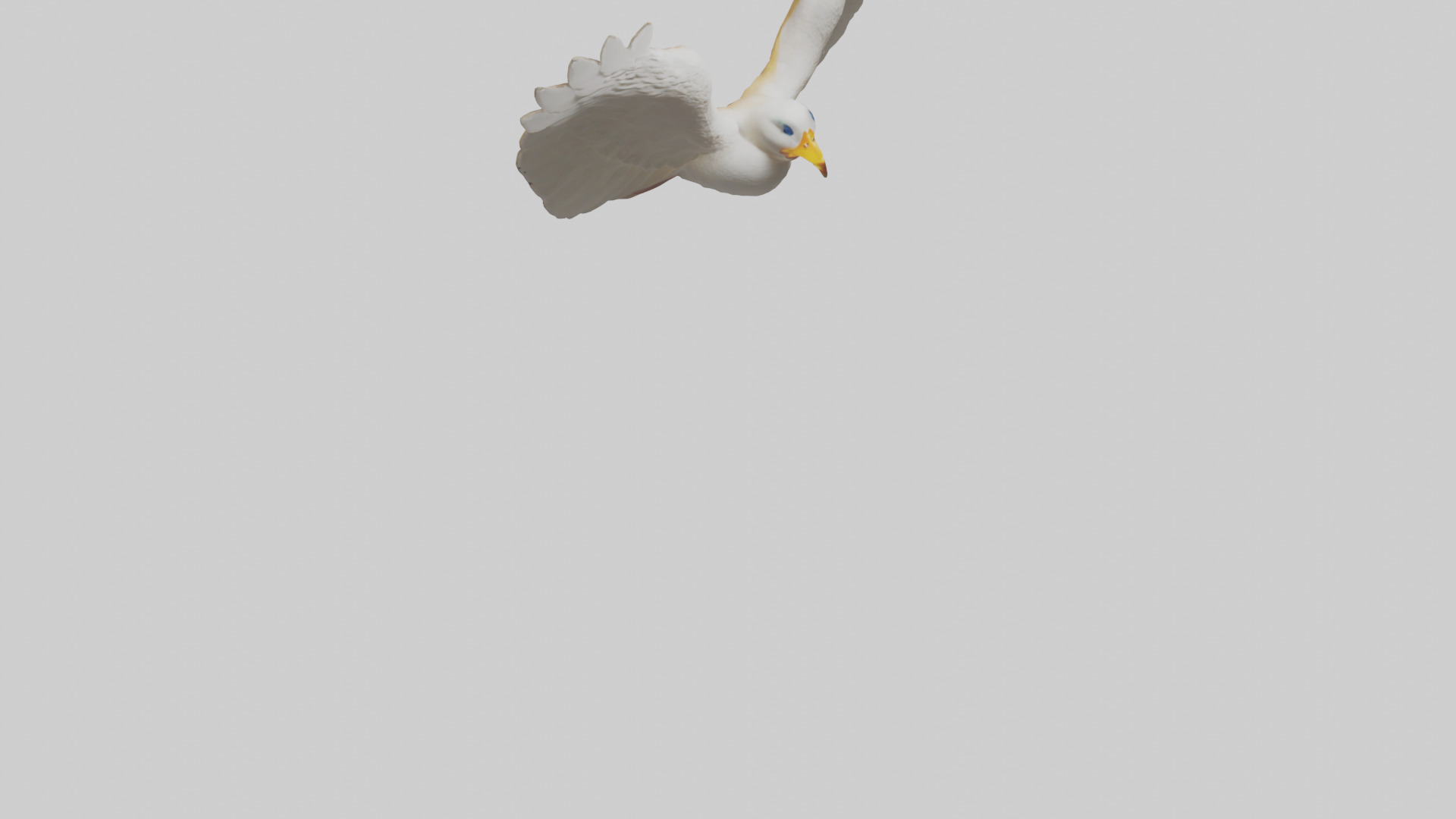 Duck Wings Model 3D model_8