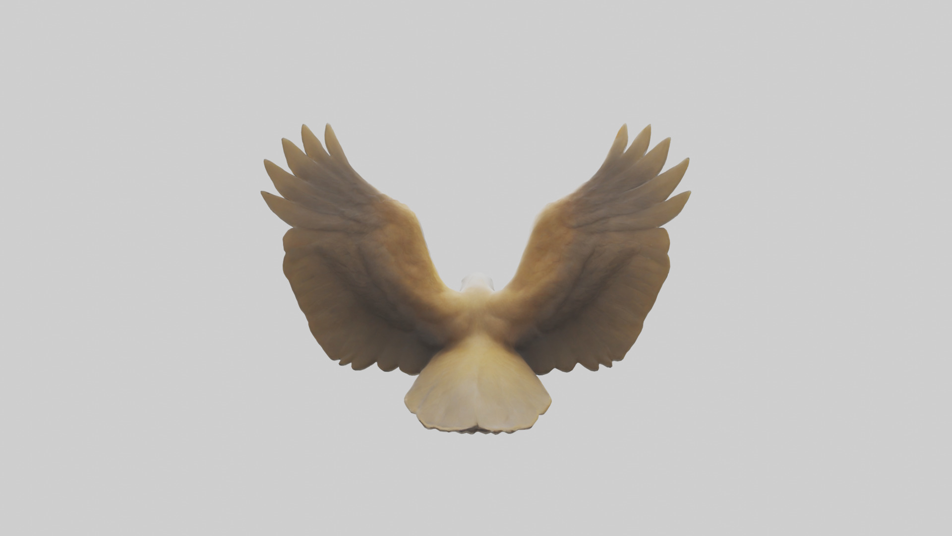 Duck Wings Model 3D model_2