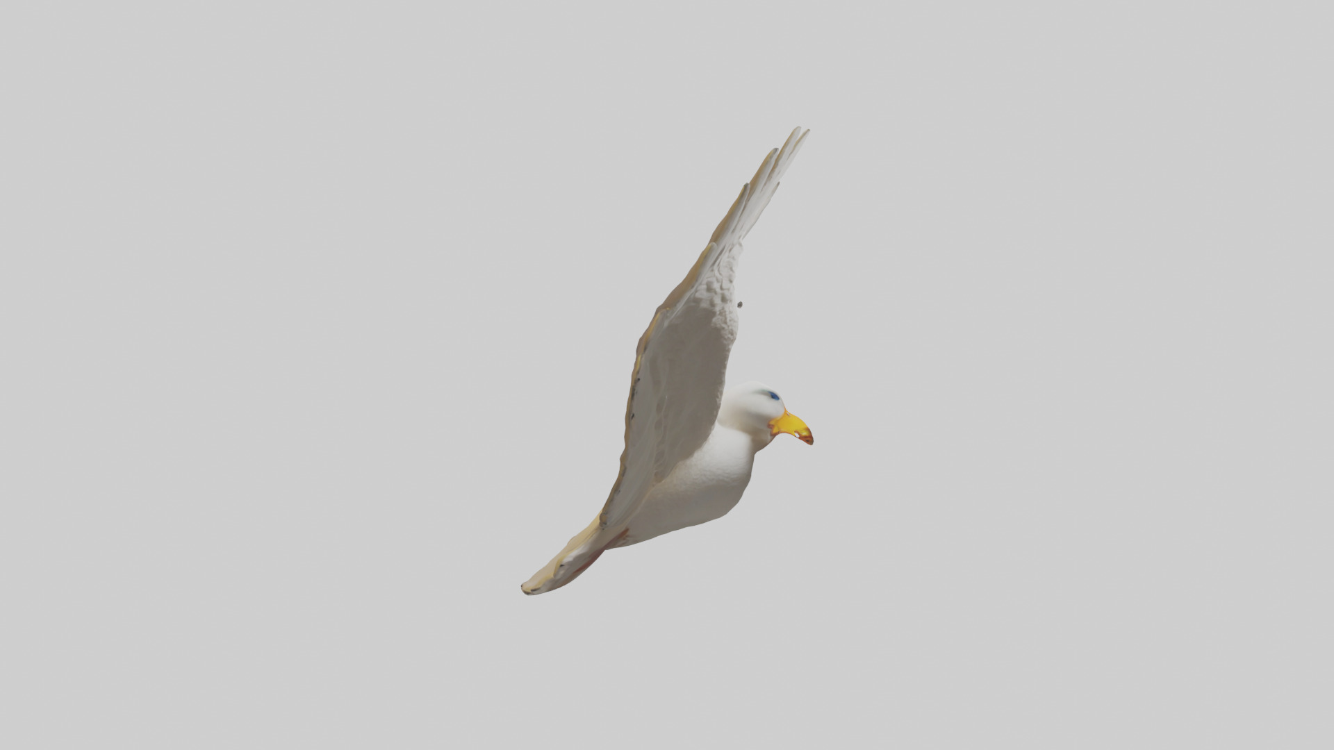 Duck Wings Model 3D model_13