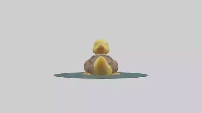 Duckling swimming model