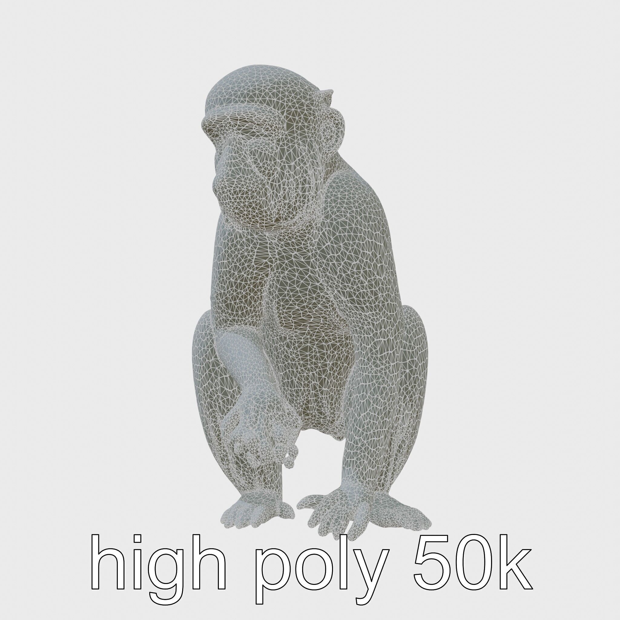 Silvery Gibbon 3D Model with Graceful Movements Low-poly 3D model_8