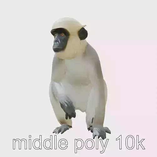 Silvery Gibbon 3D Model with Graceful Movements