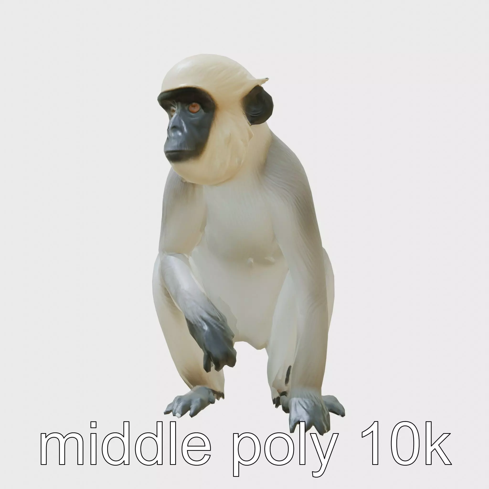 Silvery Gibbon 3D Model with Graceful Movements Low-poly 3D model_0