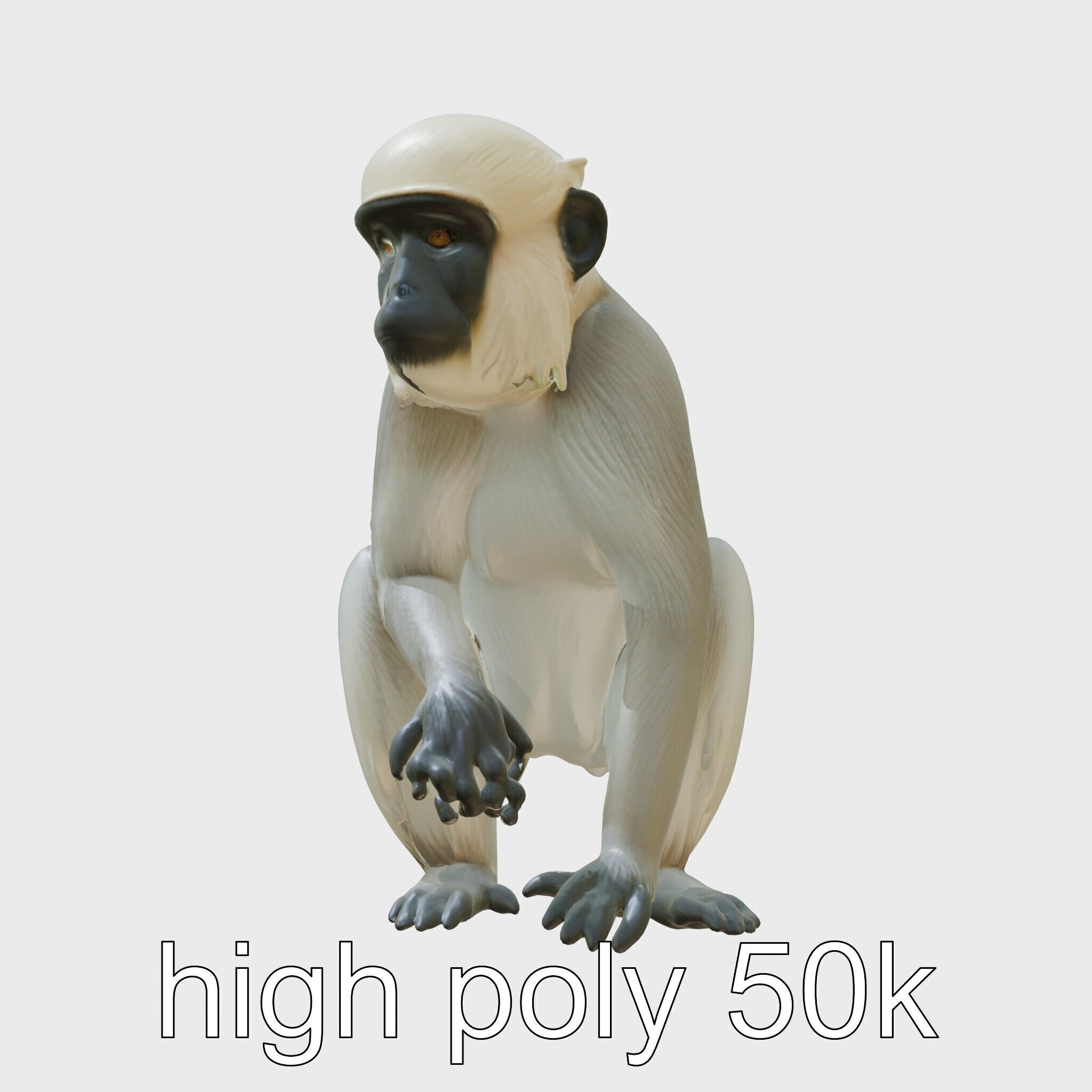 Silvery Gibbon 3D Model with Graceful Movements Low-poly 3D model_5