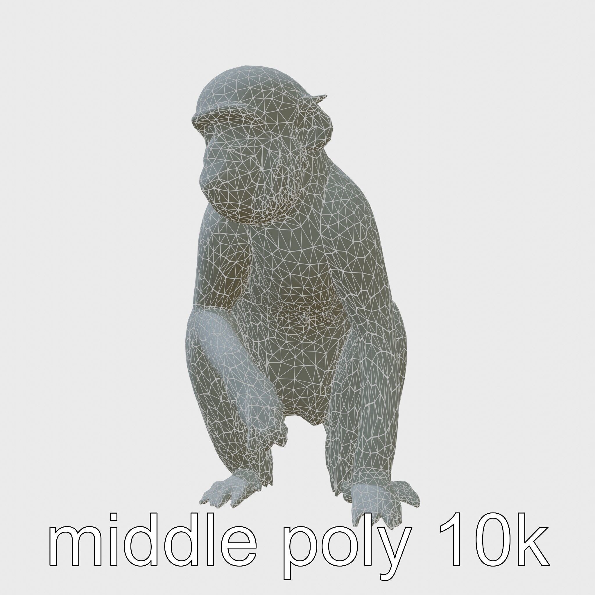 Silvery Gibbon 3D Model with Graceful Movements Low-poly 3D model_9