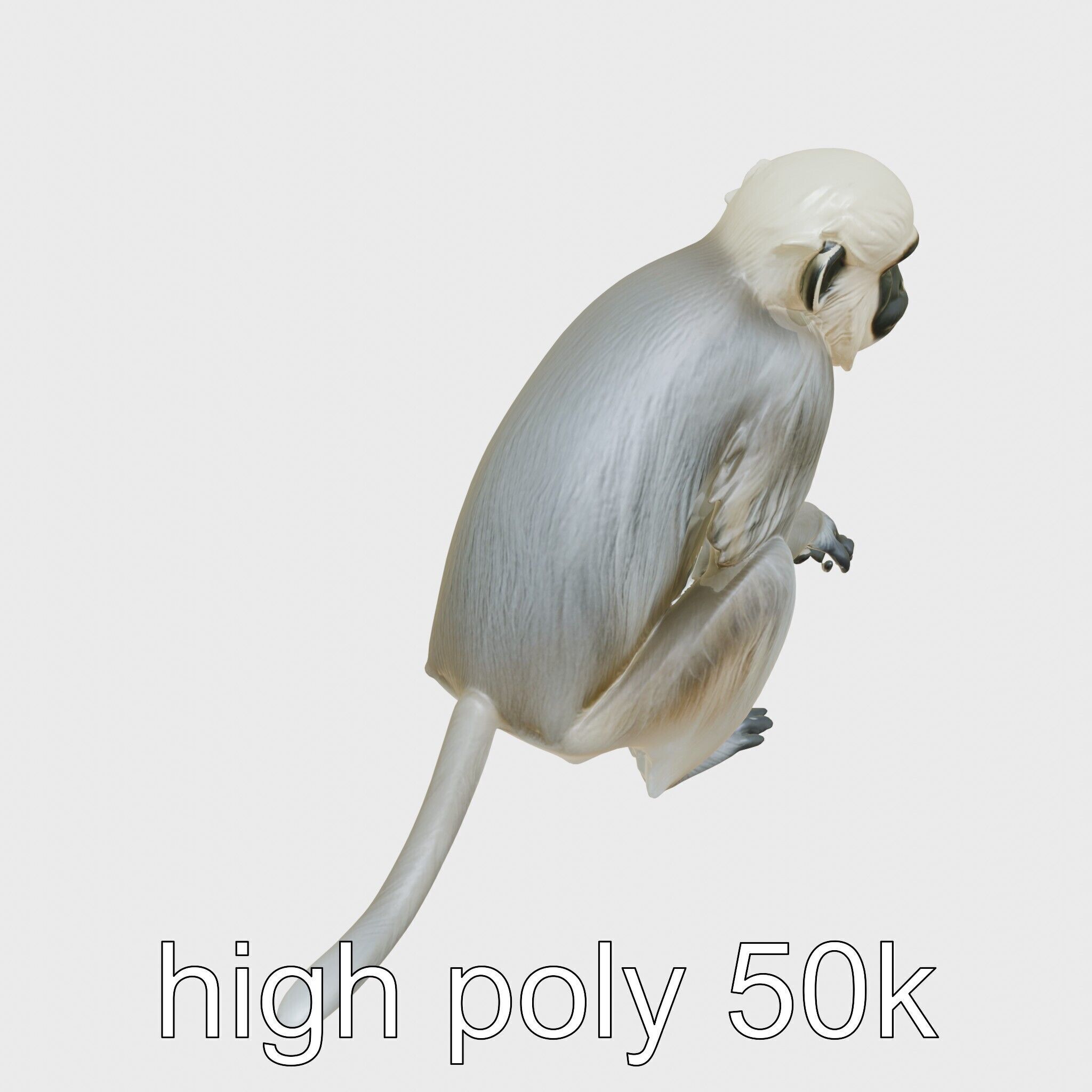 Silvery Gibbon 3D Model with Graceful Movements Low-poly 3D model_11