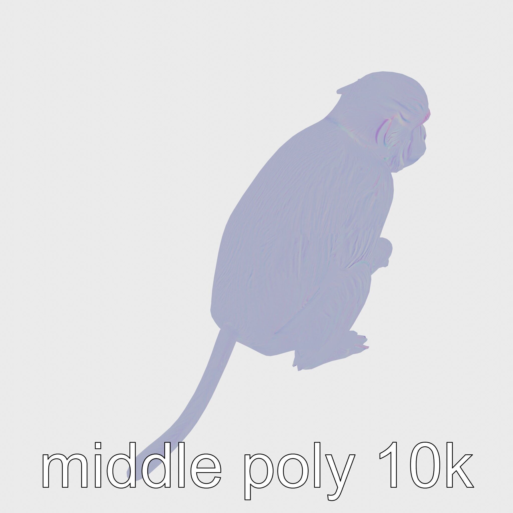 Silvery Gibbon 3D Model with Graceful Movements Low-poly 3D model_17