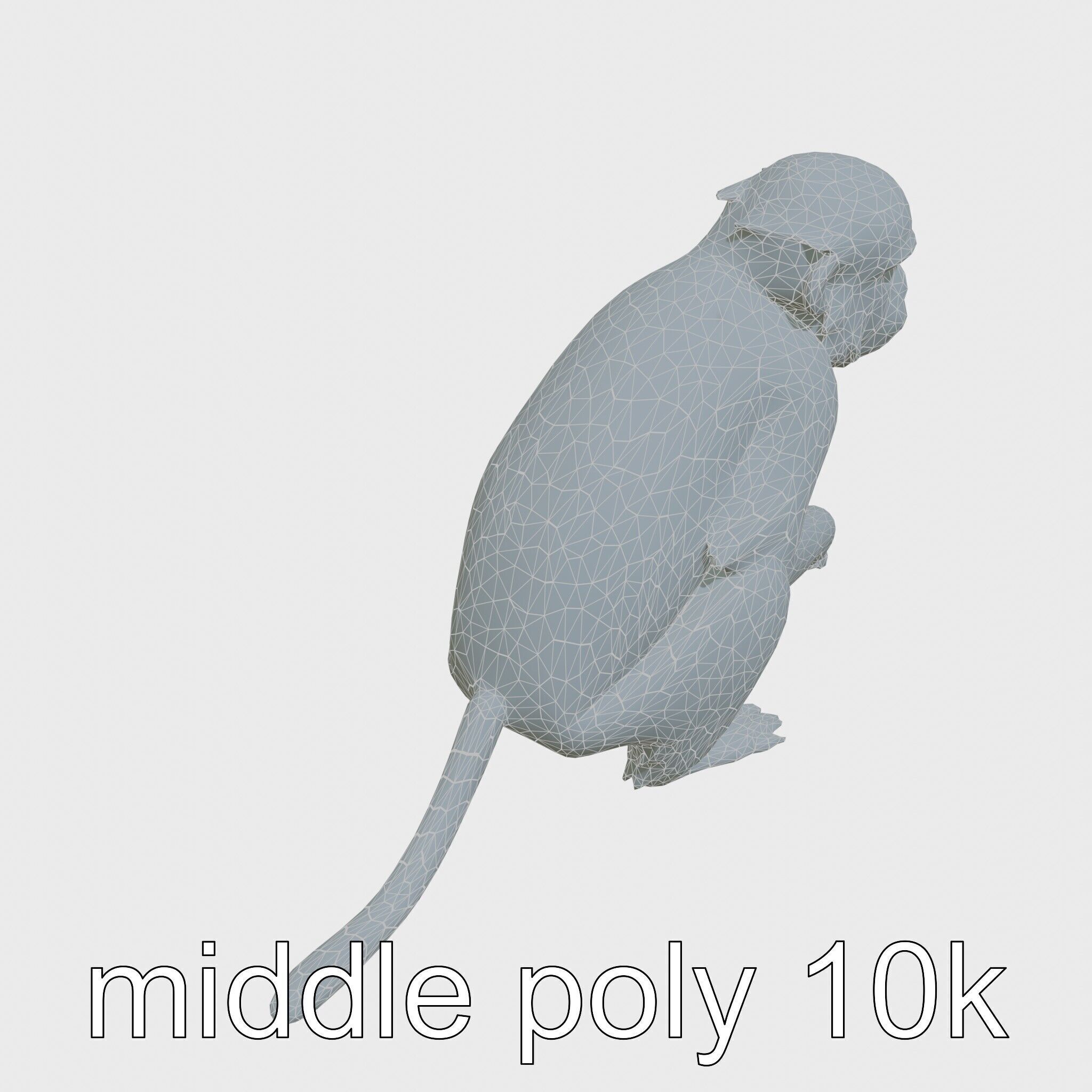 Silvery Gibbon 3D Model with Graceful Movements Low-poly 3D model_18