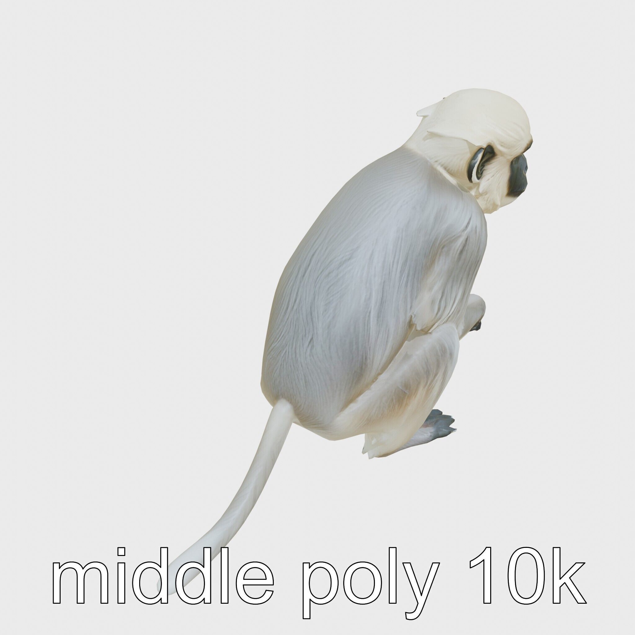 Silvery Gibbon 3D Model with Graceful Movements Low-poly 3D model_12