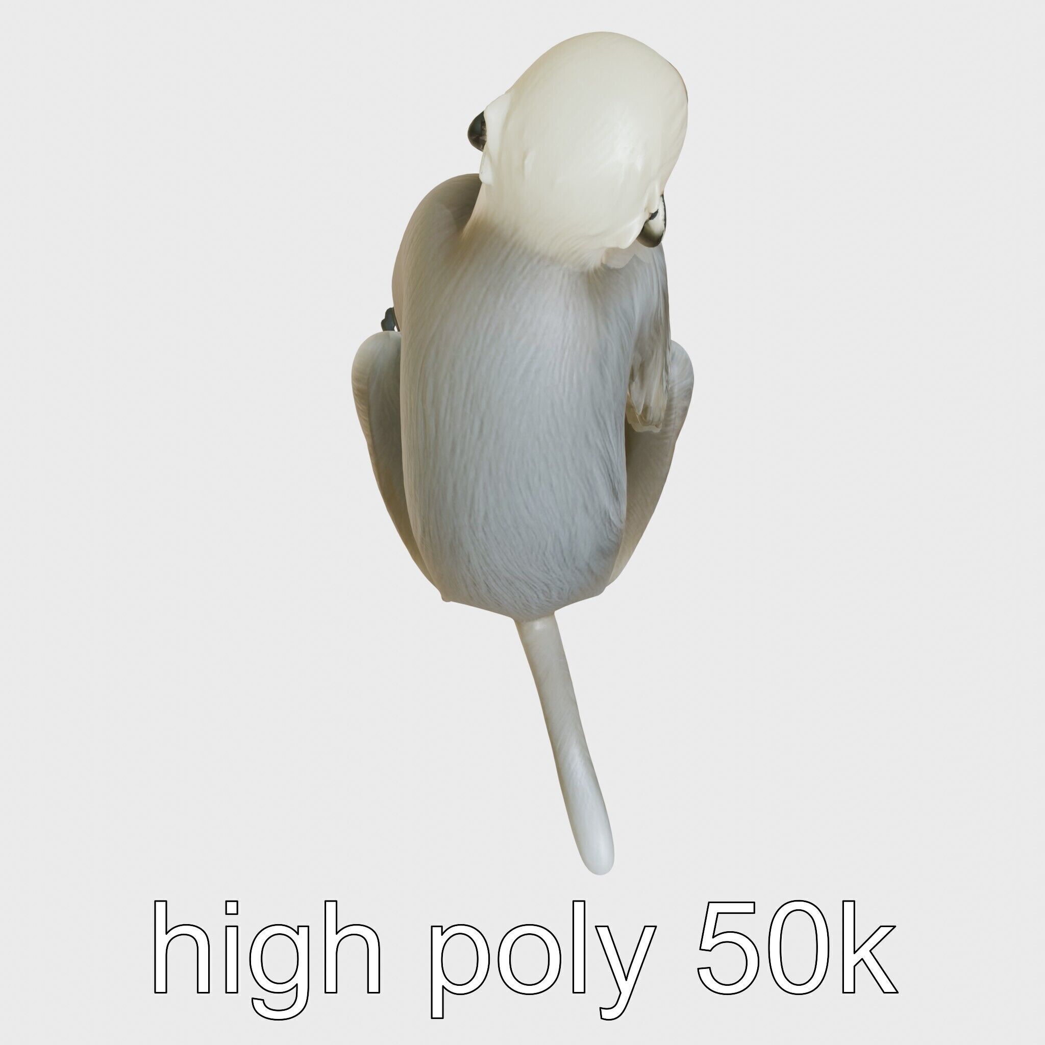 Silvery Gibbon 3D Model with Graceful Movements Low-poly 3D model_19