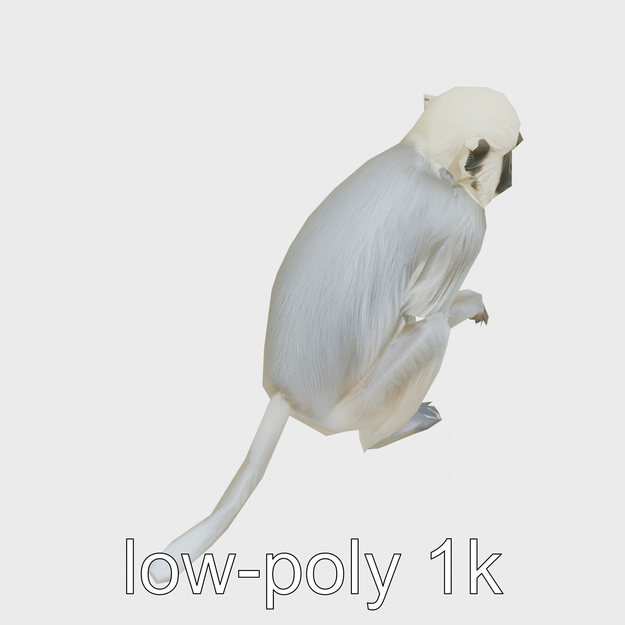 Silvery Gibbon 3D Model with Graceful Movements Low-poly 3D model_13