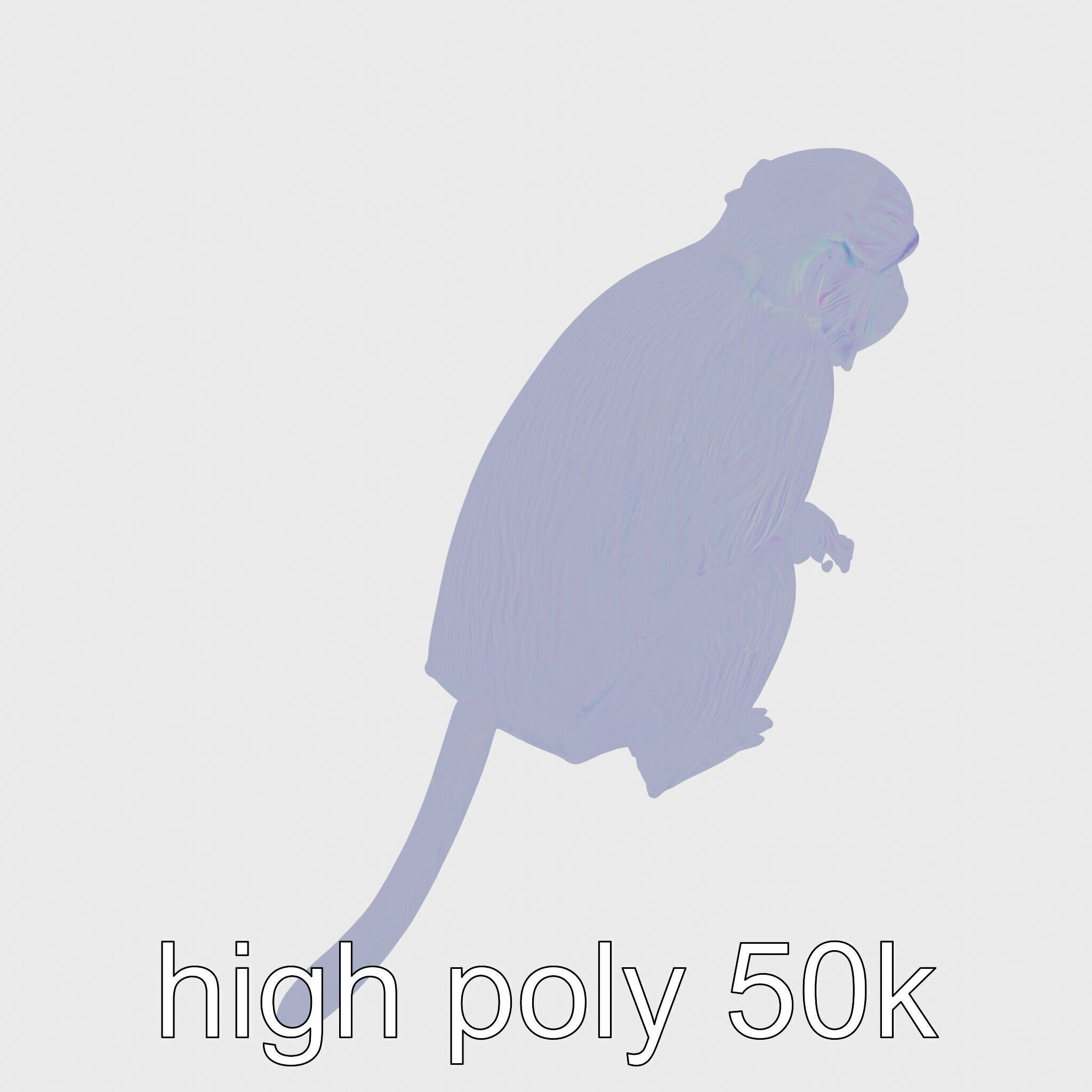 Silvery Gibbon 3D Model with Graceful Movements Low-poly 3D model_14