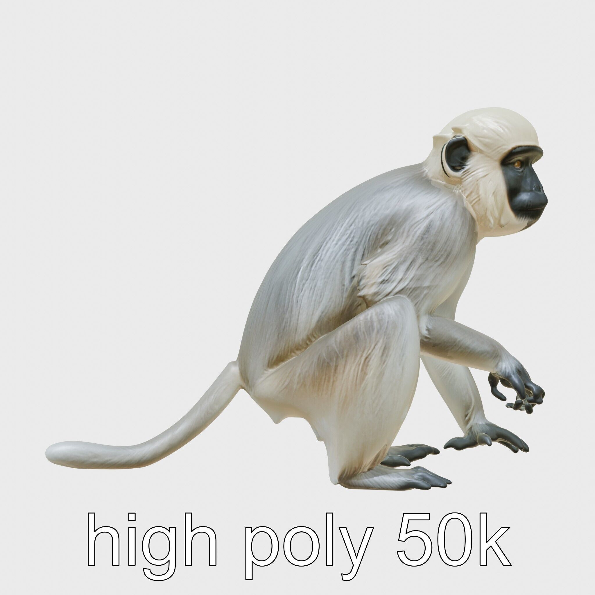 Silvery Gibbon 3D Model with Graceful Movements Low-poly 3D model_25