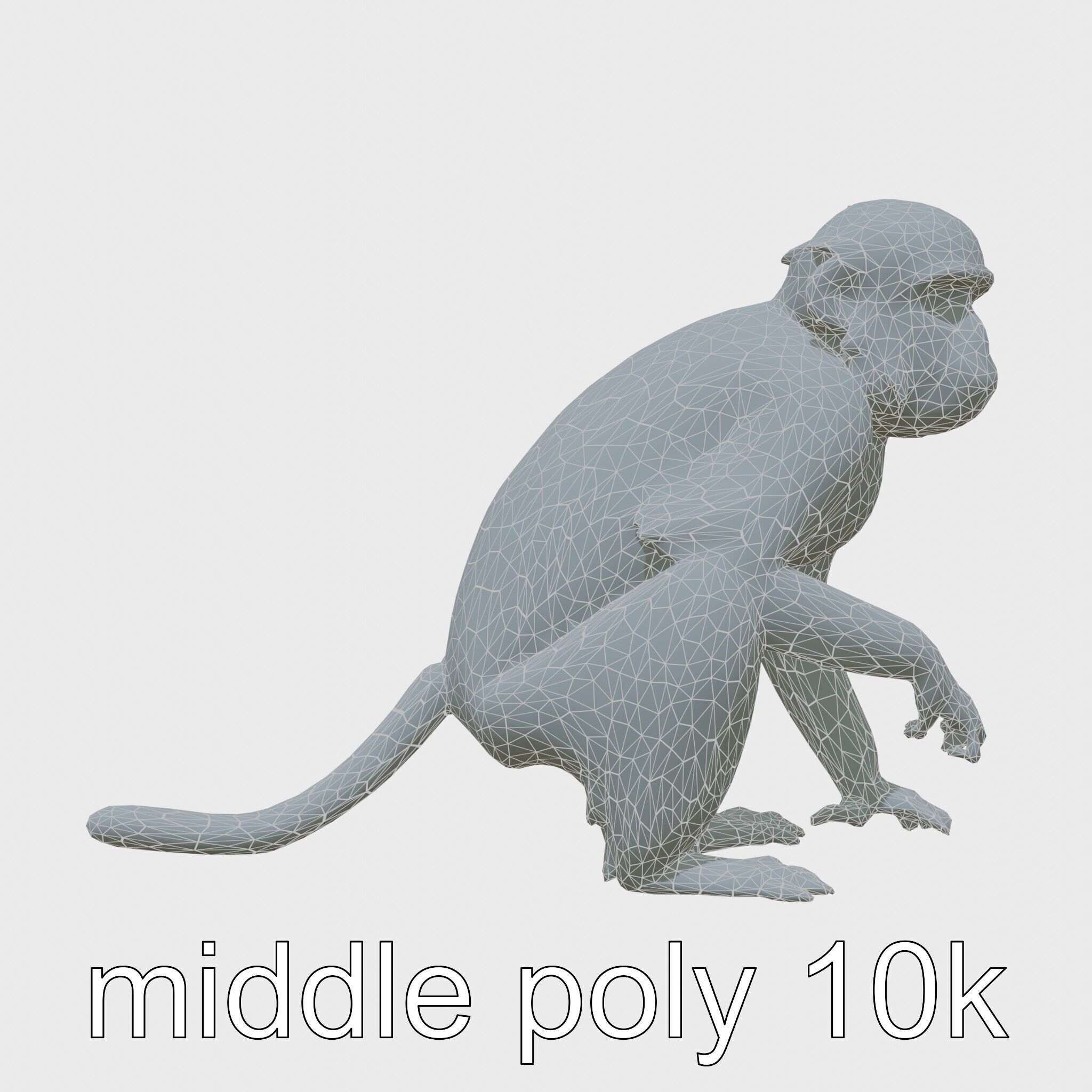 Silvery Gibbon 3D Model with Graceful Movements Low-poly 3D model_26