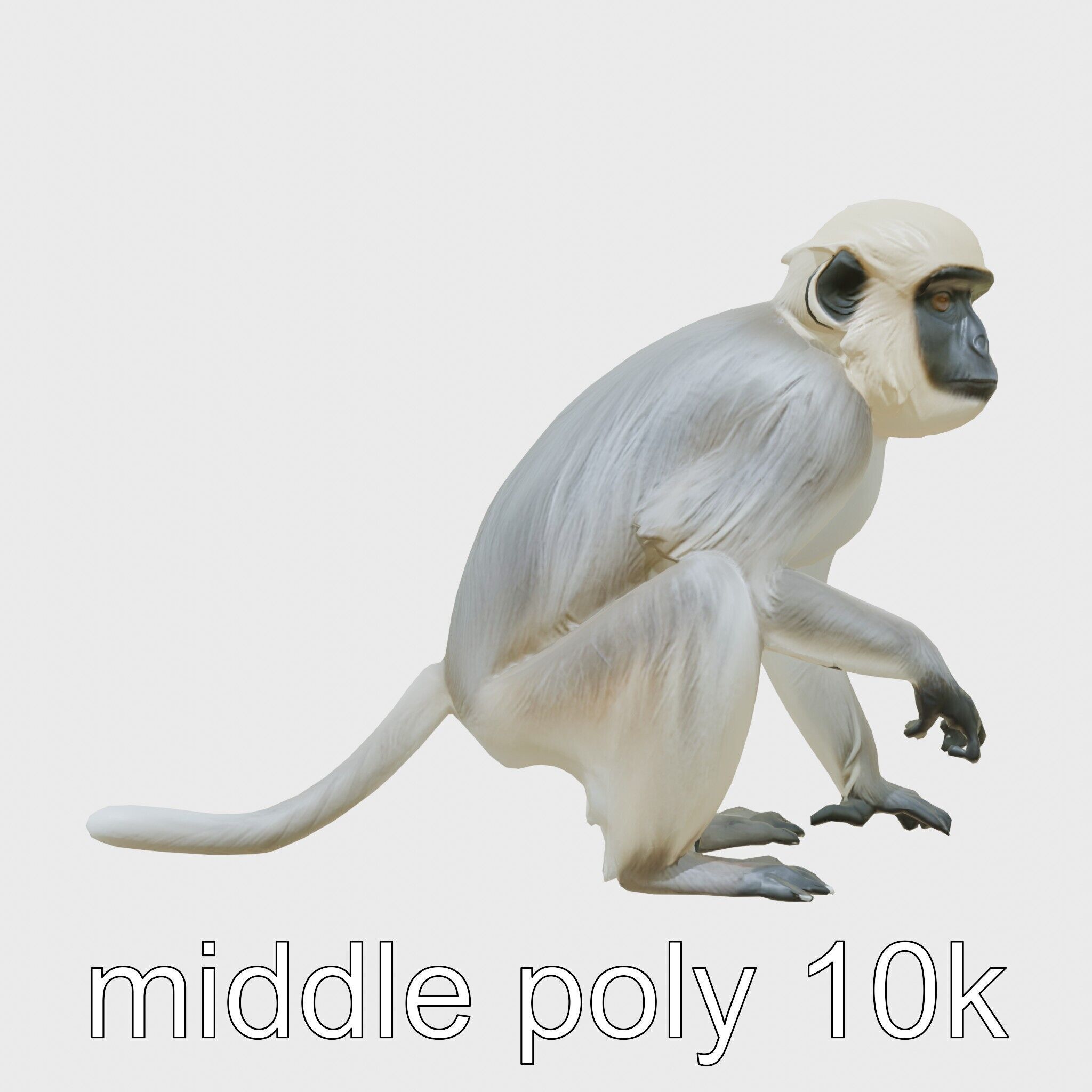 Silvery Gibbon 3D Model with Graceful Movements Low-poly 3D model_29