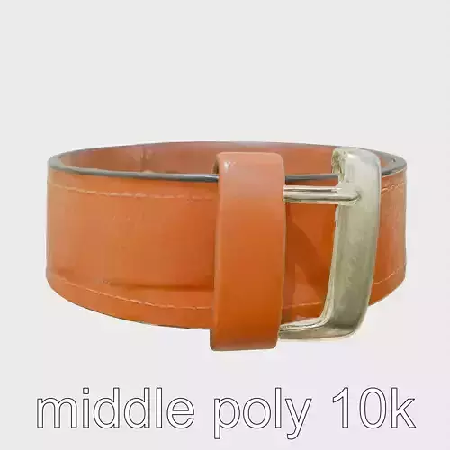 Leather Belt with Wide Buckle