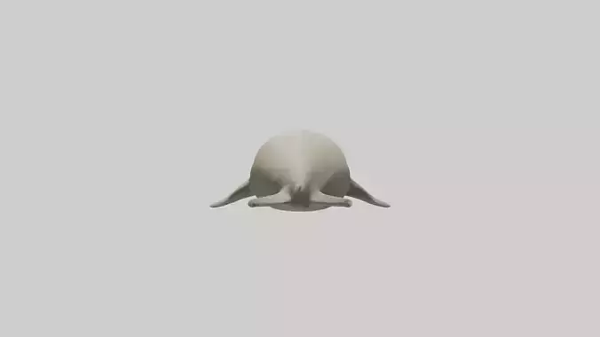 Dugong resting underwater model