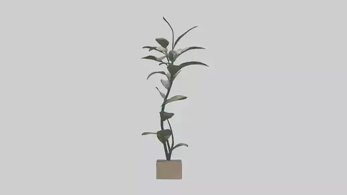 Dynamic Plant Movement Sculpture model