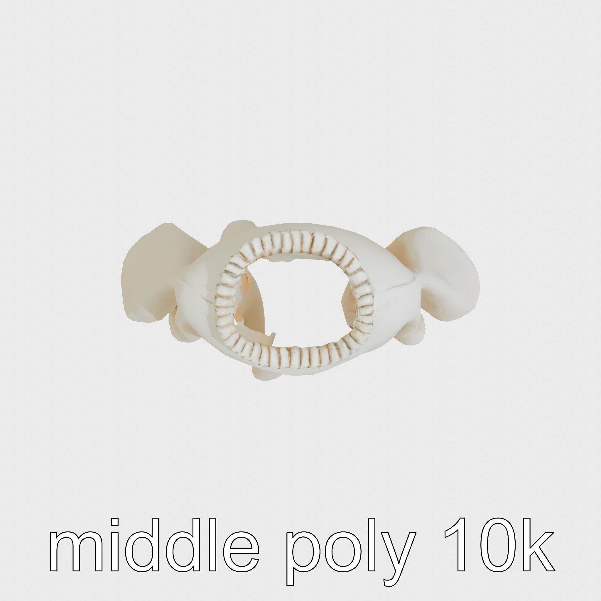 Poncho with Fringed Edges and Belt Tie Low-poly 3D model_14