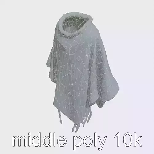 Poncho with Fringed Edges and Belt Tie