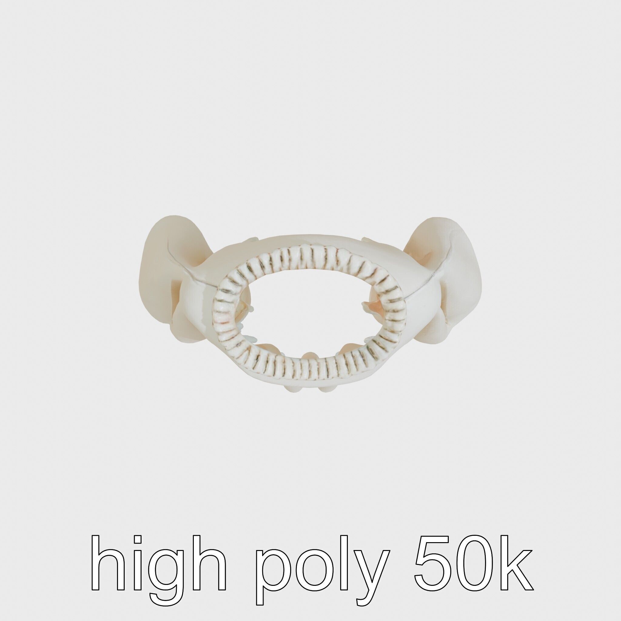 Poncho with Fringed Edges and Belt Tie Low-poly 3D model_23