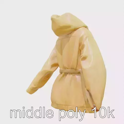 Water-Resistant Raincoat with Belt and Hood 3D Model