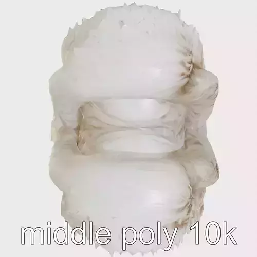 Fluffy Textured Fur Vest Model