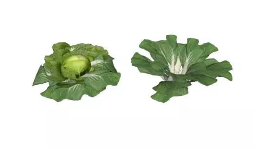 vegetables Free 3D model