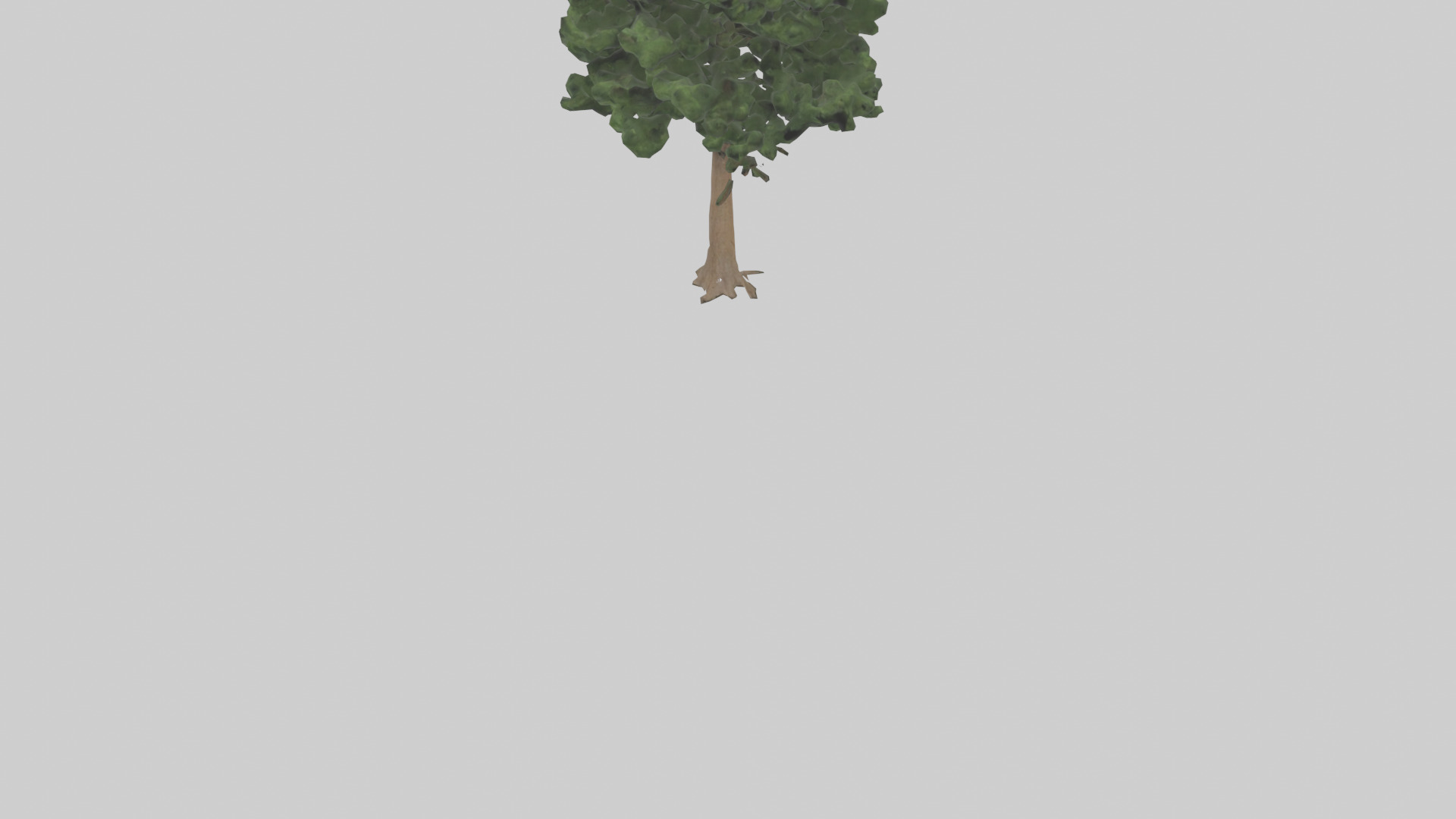 Eastern Hemlock tree model 3D model_5