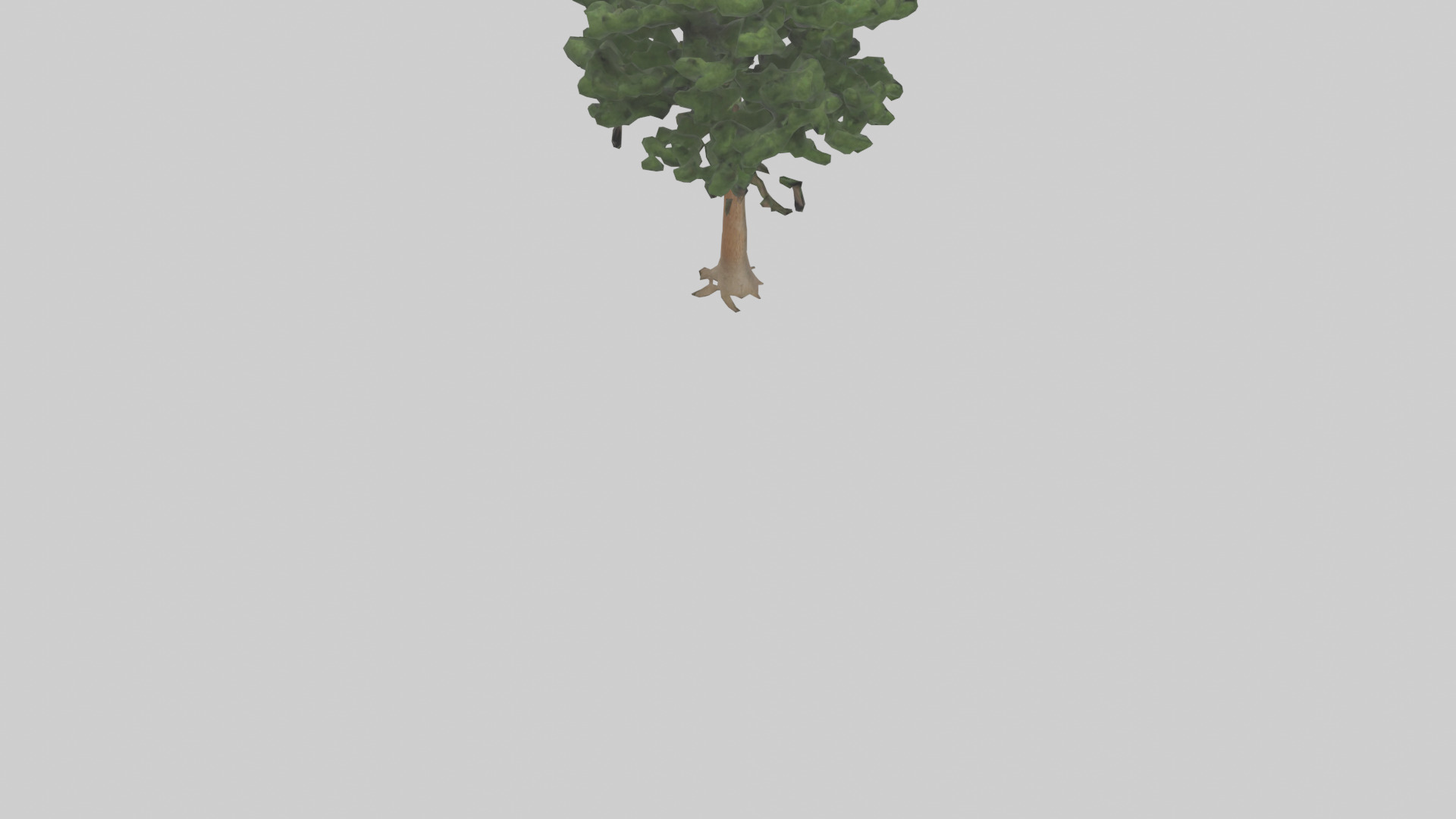 Eastern Hemlock tree model 3D model_4