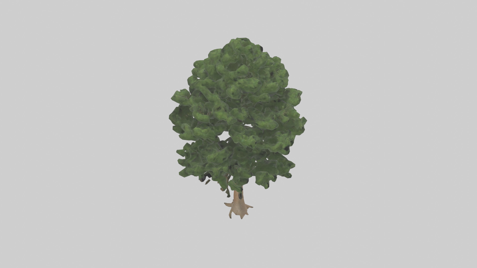 Eastern Hemlock tree model 3D model_18