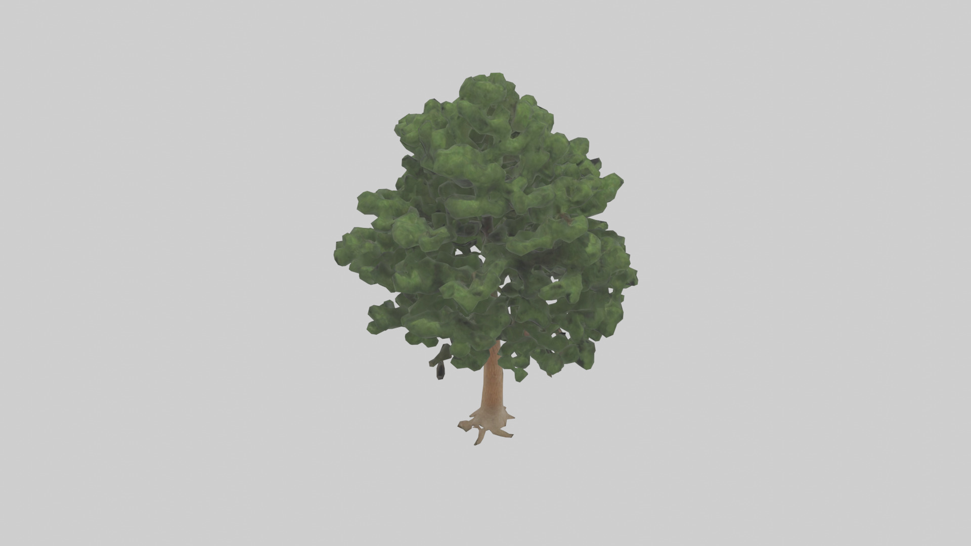 Eastern Hemlock tree model 3D model_15