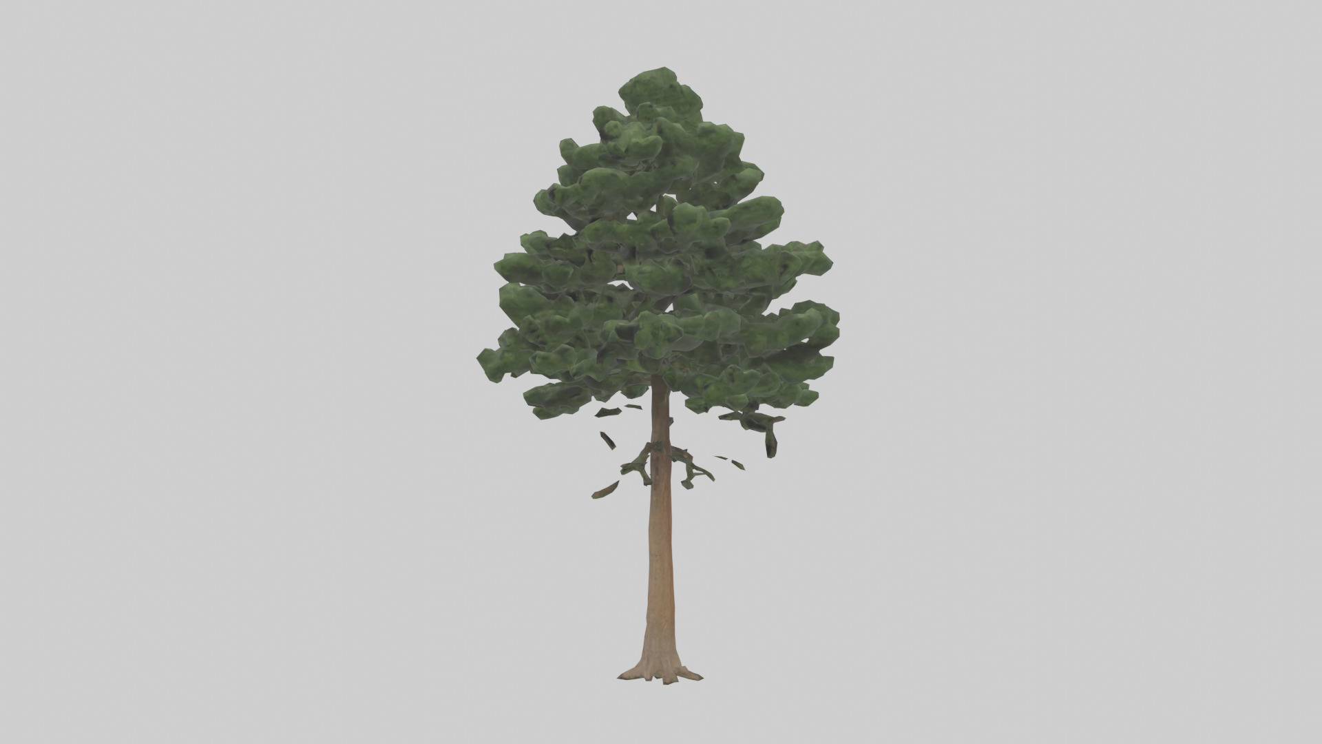 Eastern Hemlock tree model 3D model_12