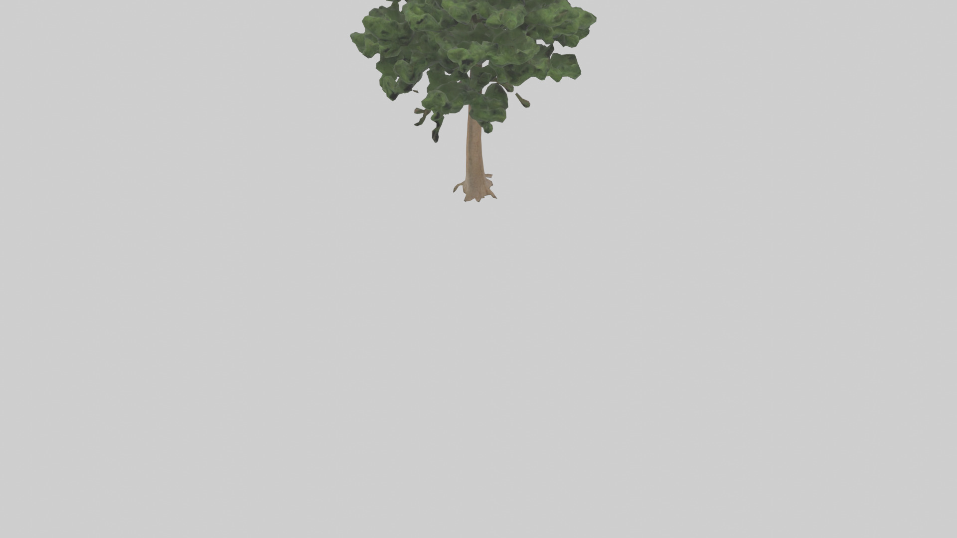 Eastern Hemlock tree model 3D model_6