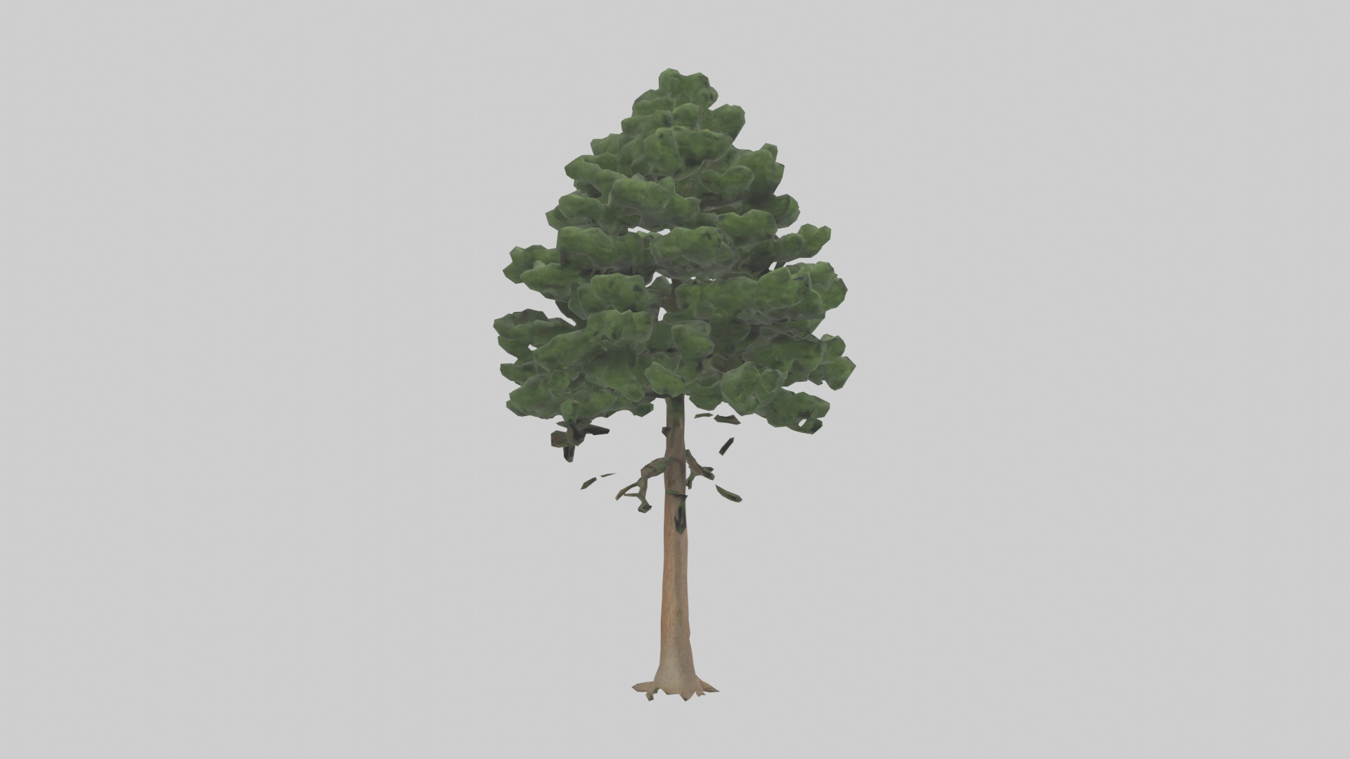Eastern Hemlock tree model 3D model_13