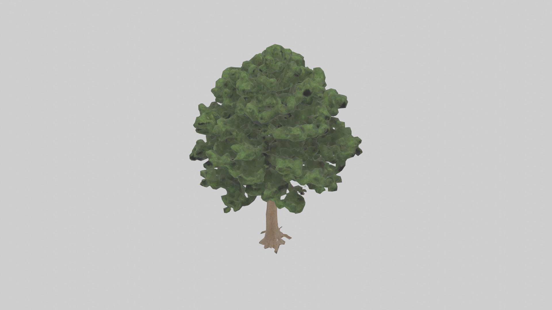 Eastern Hemlock tree model 3D model_16