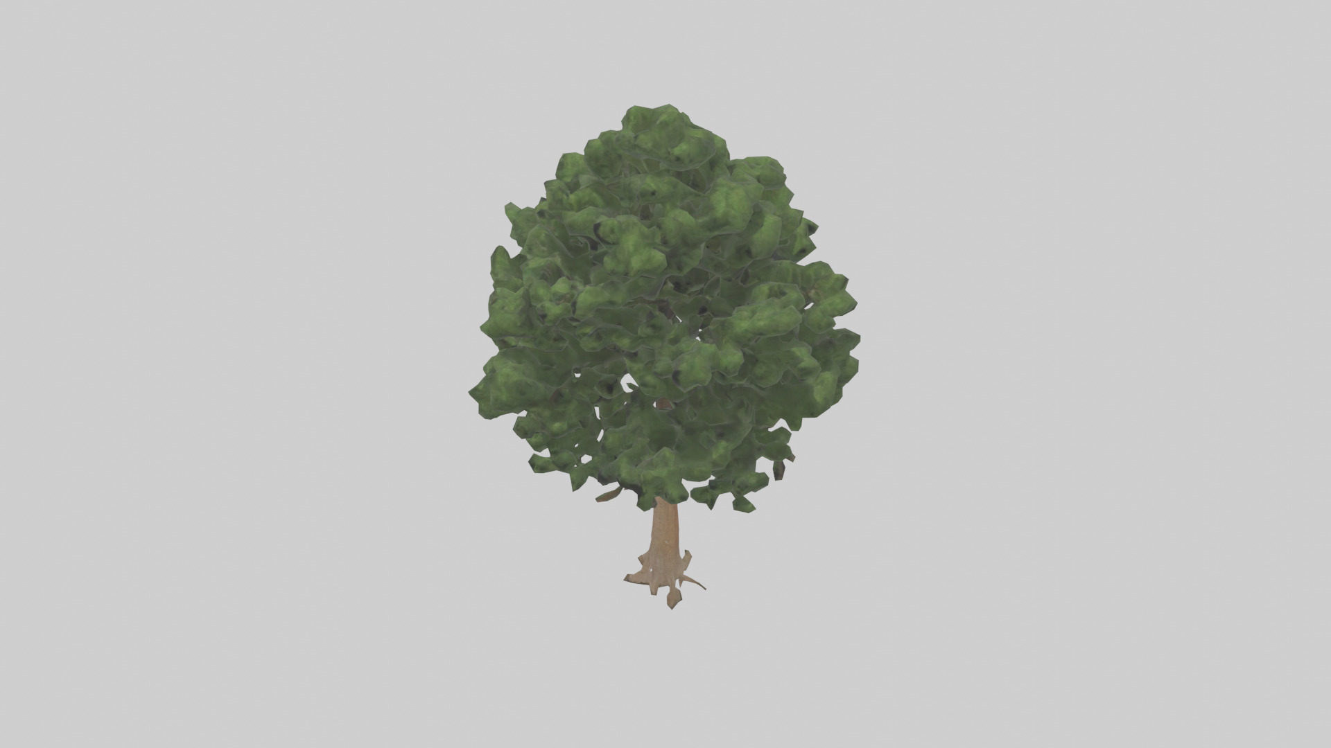 Eastern Hemlock tree model 3D model_17