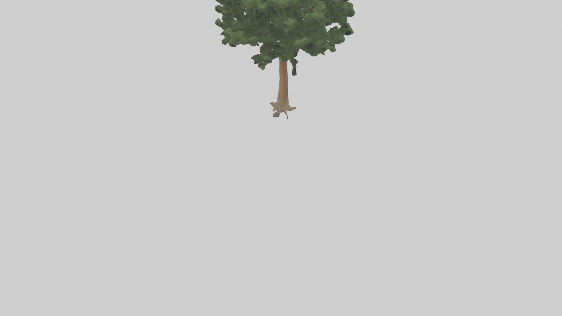 Eastern Hemlock tree model 3D model_3