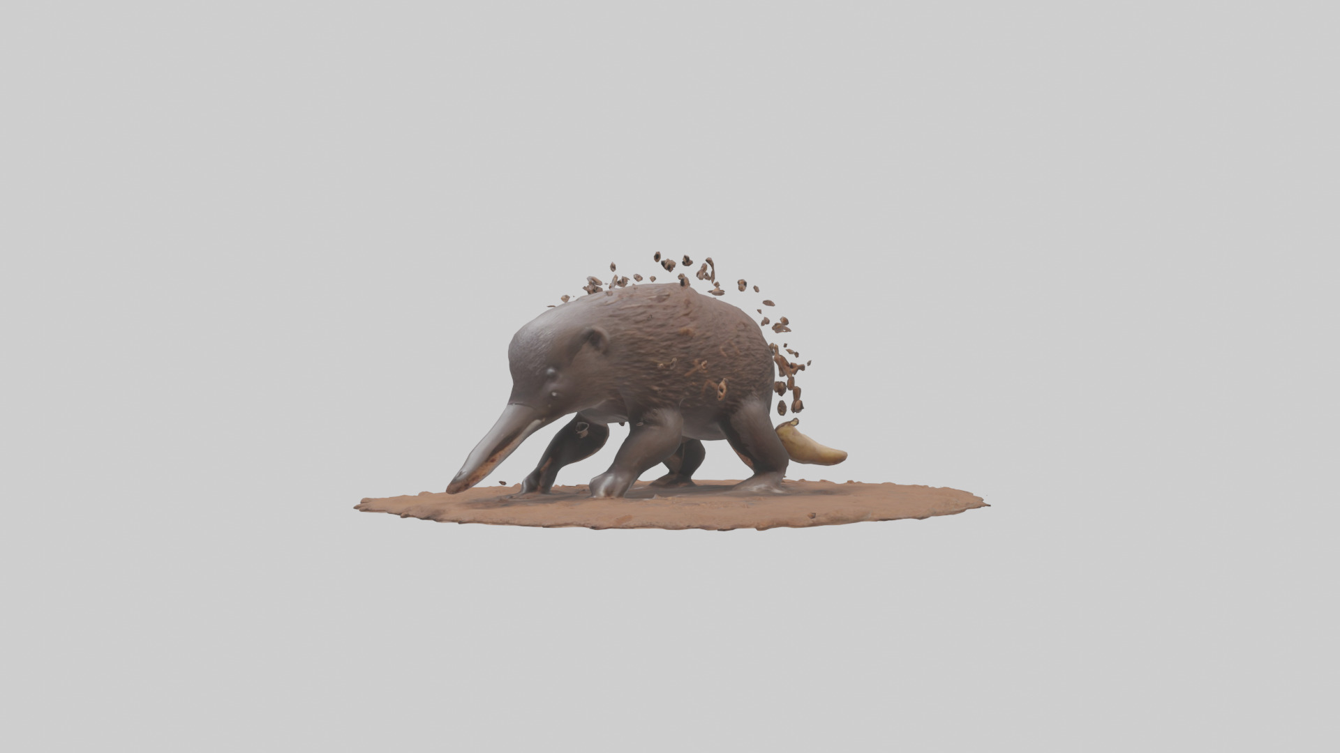 Echidna digging for ants model 3D model_8