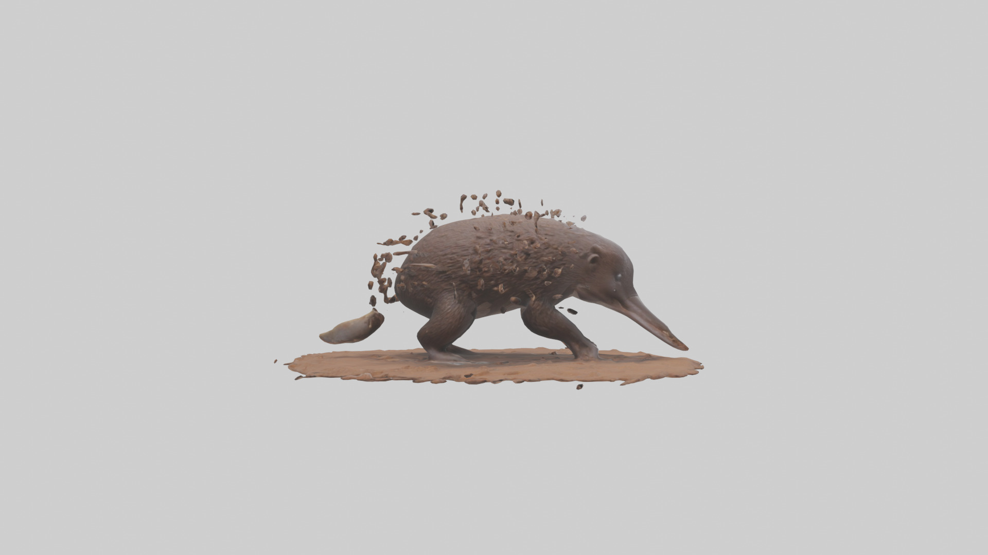 Echidna digging for ants model 3D model_13