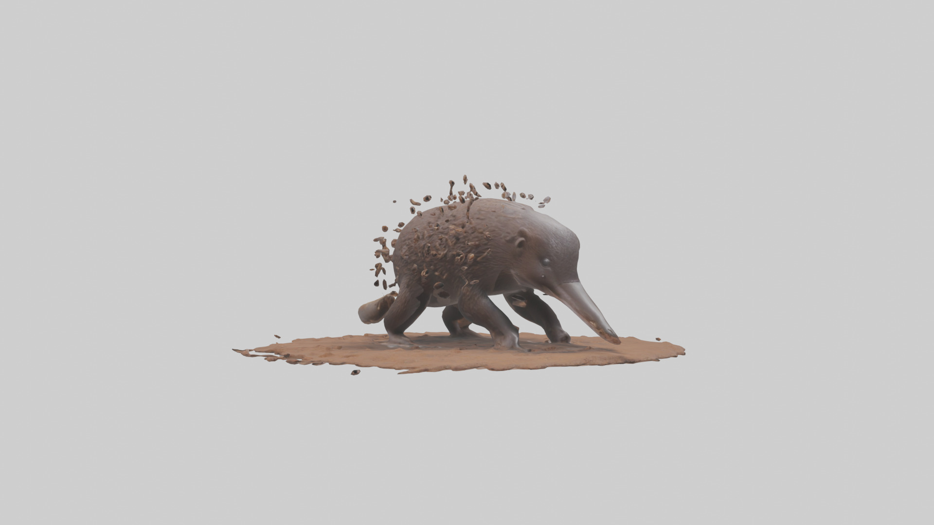 Echidna digging for ants model 3D model_11