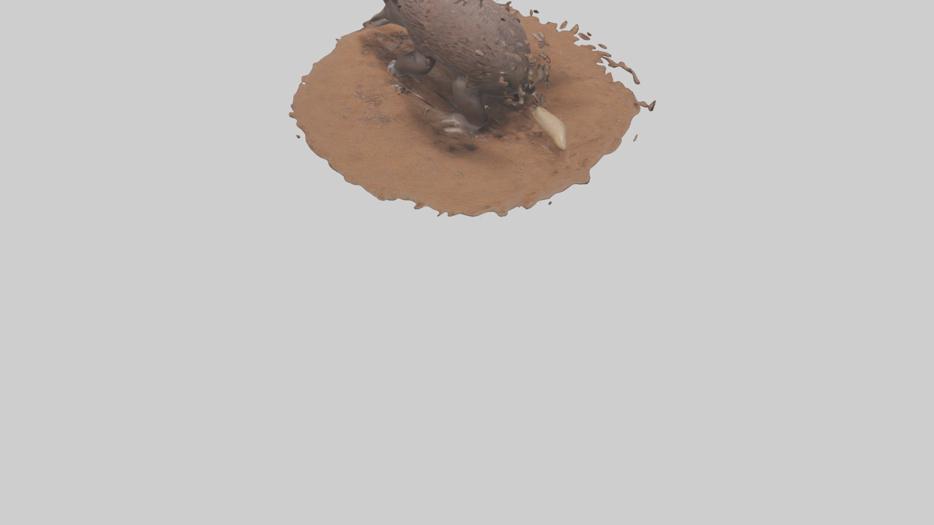 Echidna digging for ants model 3D model_4